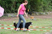 © Heeressportverein Krems-Mautern - Sektion Hundesport