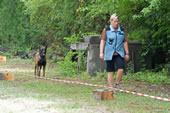 © Heeressportverein Krems-Mautern - Sektion Hundesport