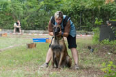 © Heeressportverein Krems-Mautern - Sektion Hundesport