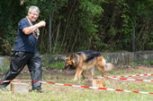 © Heeressportverein Krems-Mautern - Sektion Hundesport