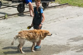 © Heeressportverein Krems-Mautern - Sektion Hundesport