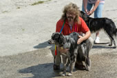 © Heeressportverein Krems-Mautern - Sektion Hundesport