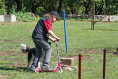 © Heeressportverein Krems-Mautern - Sektion Hundesport