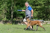 © Heeressportverein Krems-Mautern - Sektion Hundesport