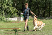 © Heeressportverein Krems-Mautern - Sektion Hundesport