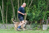 © Heeressportverein Krems-Mautern - Sektion Hundesport