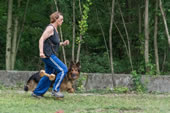 © Heeressportverein Krems-Mautern - Sektion Hundesport