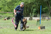 © Heeressportverein Krems-Mautern - Sektion Hundesport