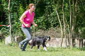 © Heeressportverein Krems-Mautern - Sektion Hundesport