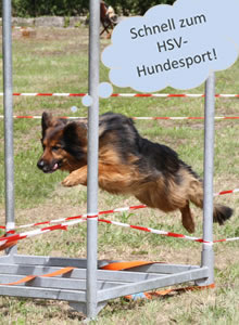 Heeressportverein Krems-Mautern - Sektion Hundesport