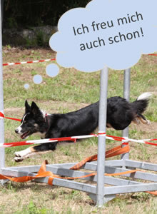 Heeressportverein Krems-Mautern - Sektion Hundesport